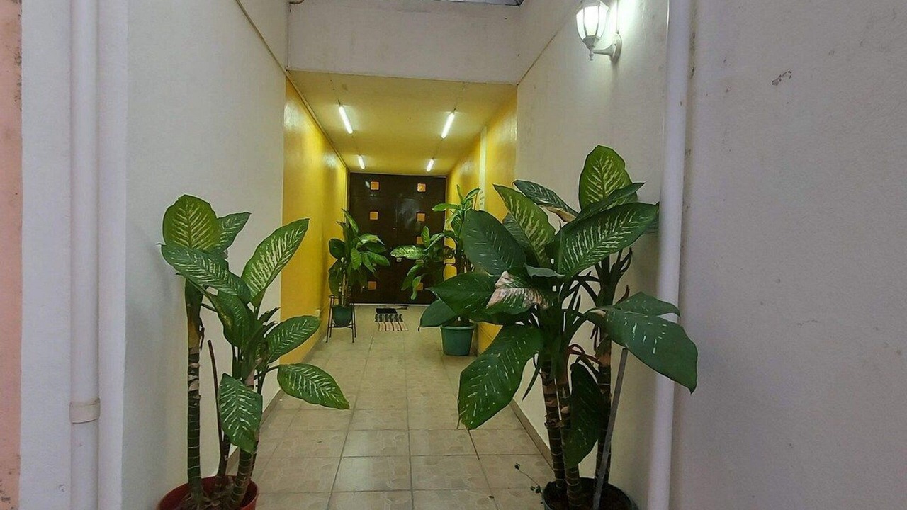 Photo of Others in Centro de la Ciudad