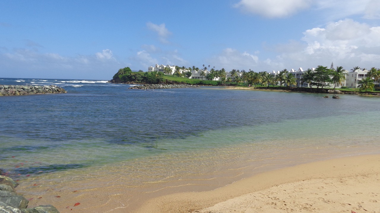 Photo of Others in Dorado del Mar