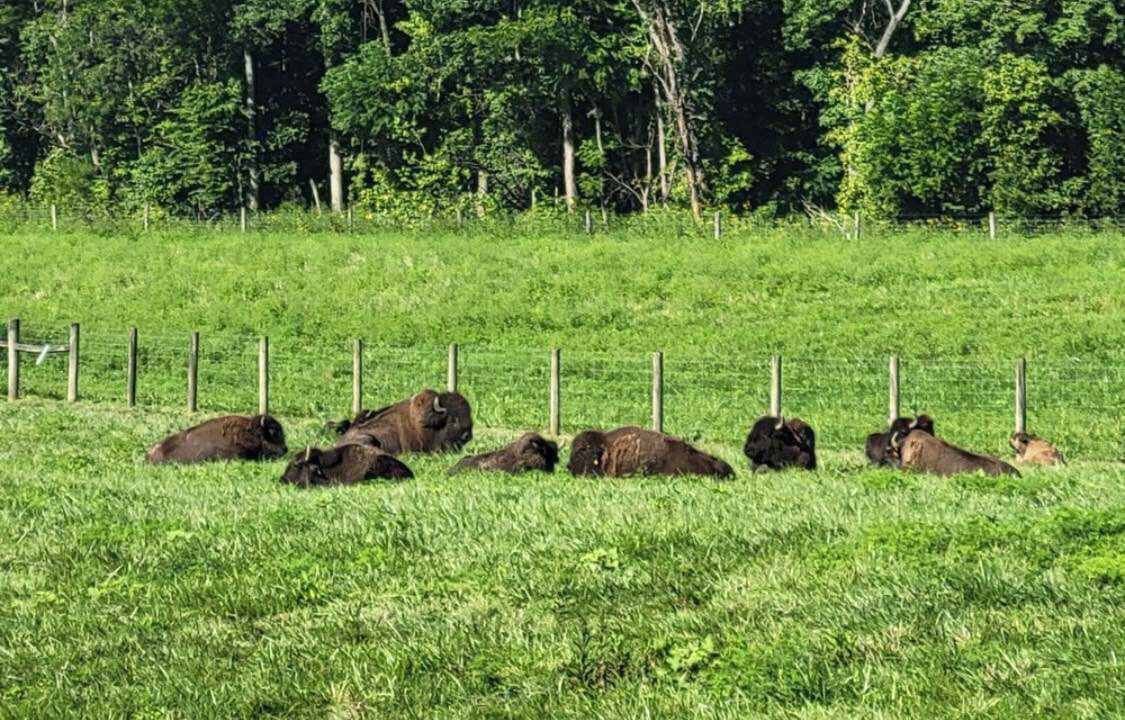 Photo of Others in Walton