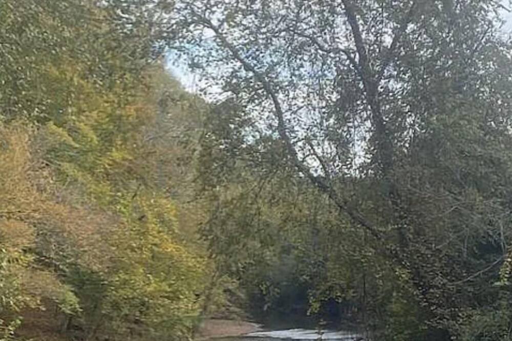 Photo of Others in Rutherfordton