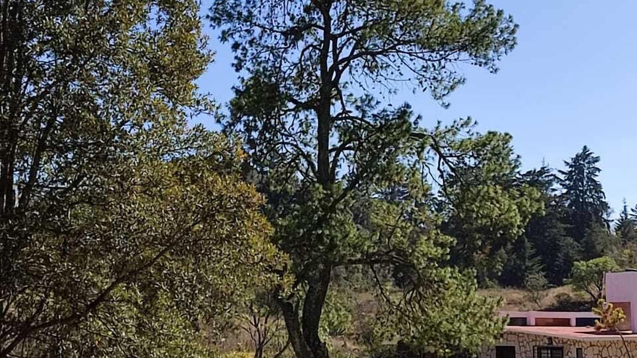 Photo of Outdoor in Amealco