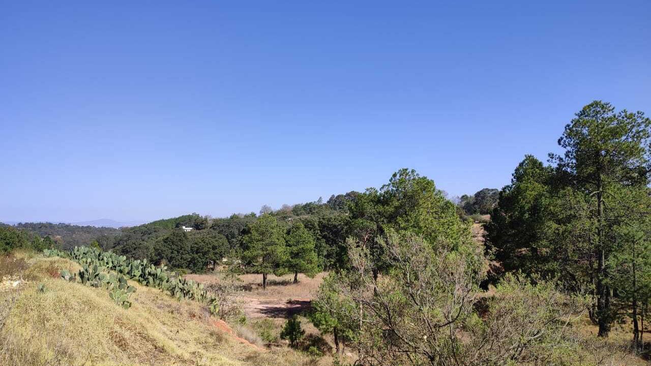 Photo of Outdoor in Amealco