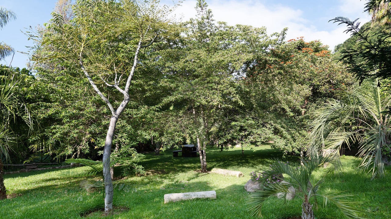 Photo of Outdoor in Ajijic
