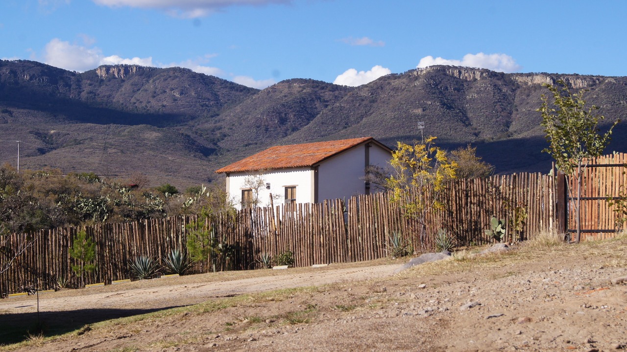 Photo of Others in Lagos de Moreno