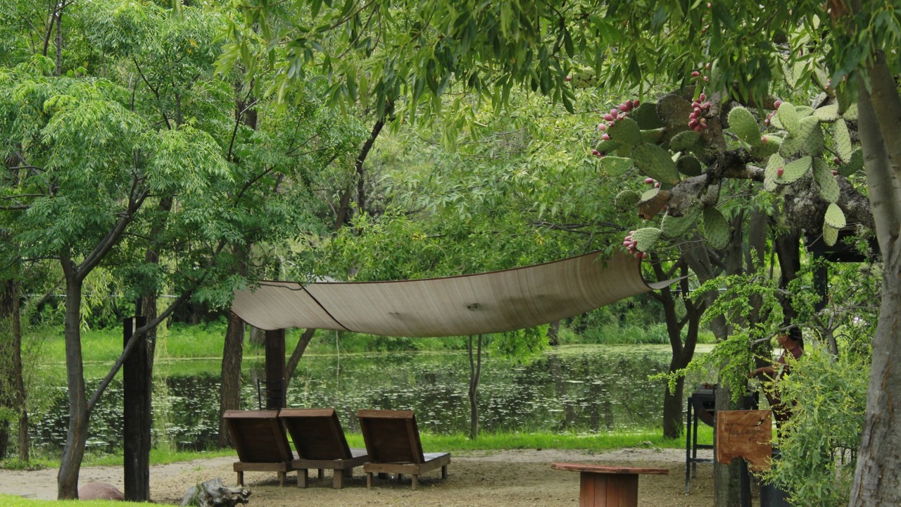 Photo of Outdoor in Lagos de Moreno