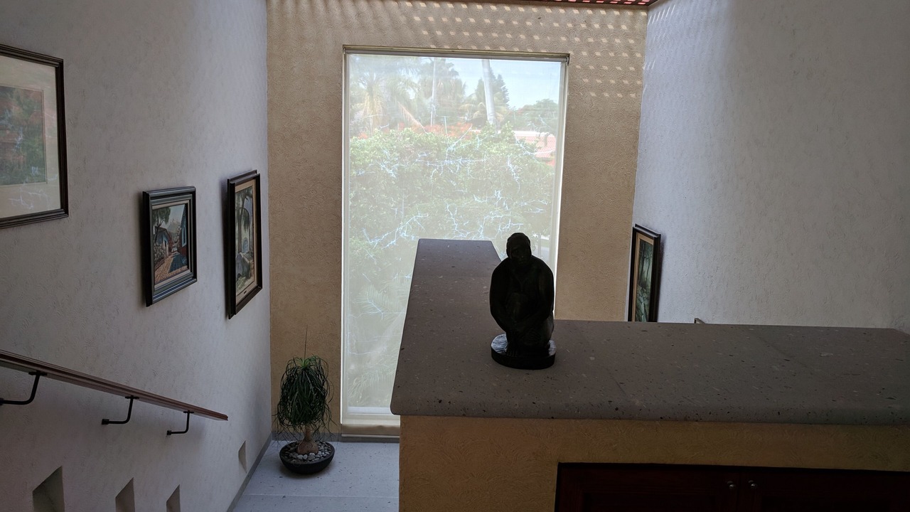 Photo of Others in Cuernavaca