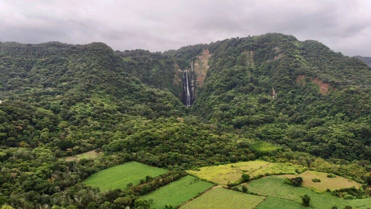 Photo of Outdoor in Naolinco