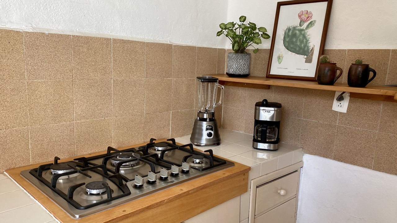 Photo of Kitchen in Palmar de Aramara