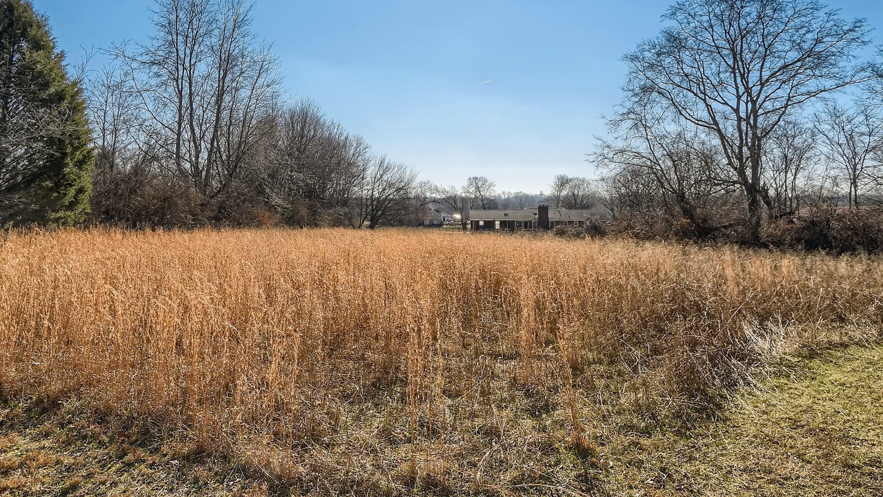 Photo of Outdoor in Franklin