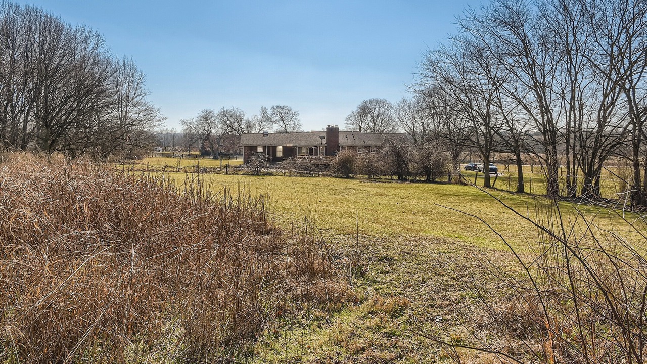 Photo of Outdoor in Franklin