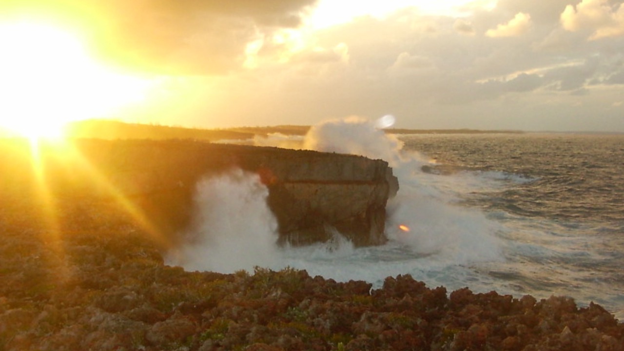 Photo of Outdoor in Savannah Sound