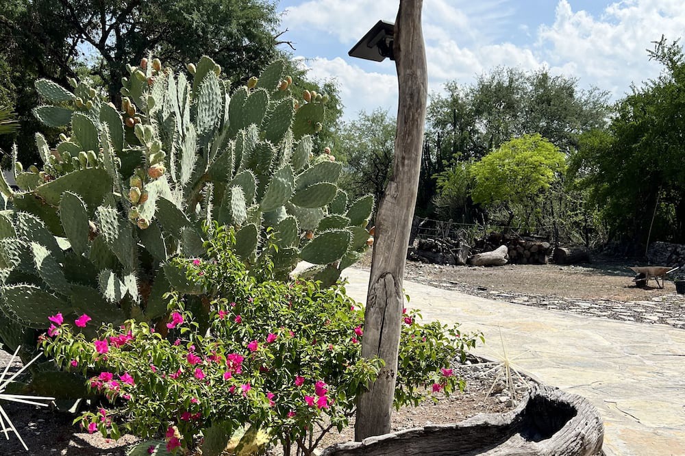 Photo of Outdoor in La Huasteca
