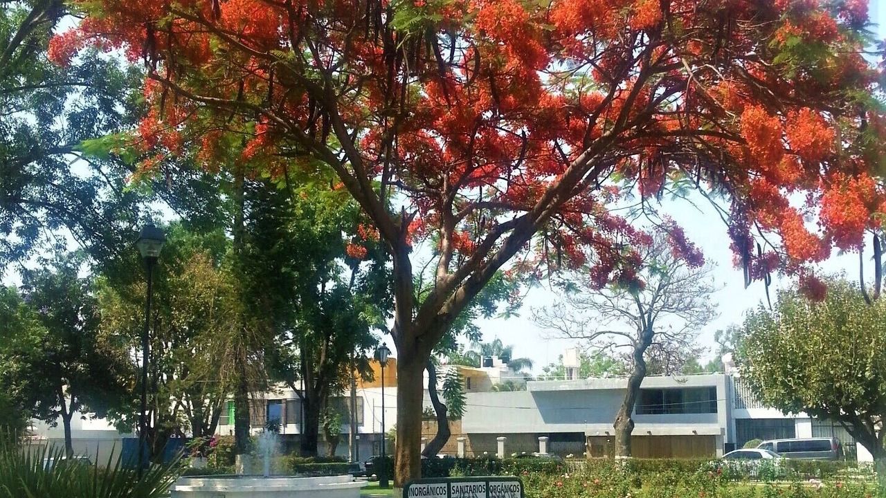 Photo of Others in Chapalita