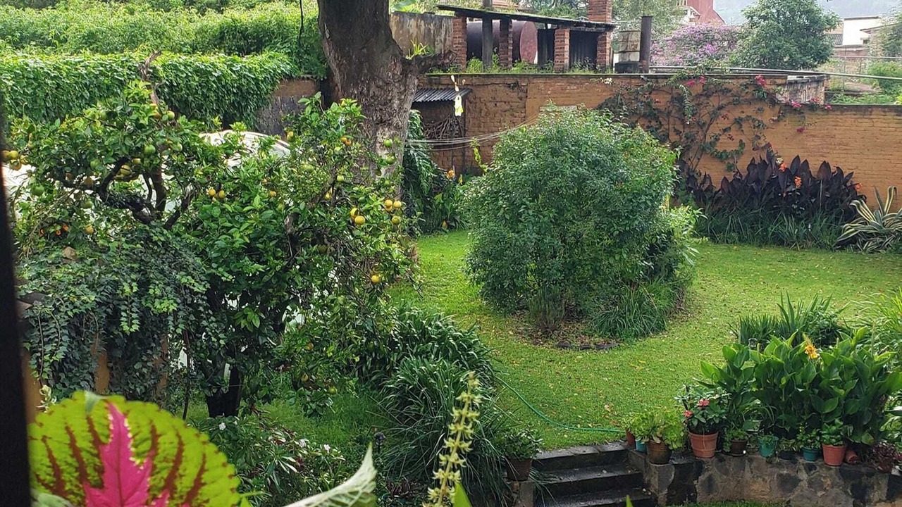 Photo of Outdoor in Centro
