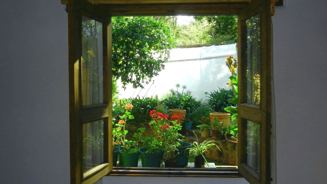 Photo of Outdoor in Centro