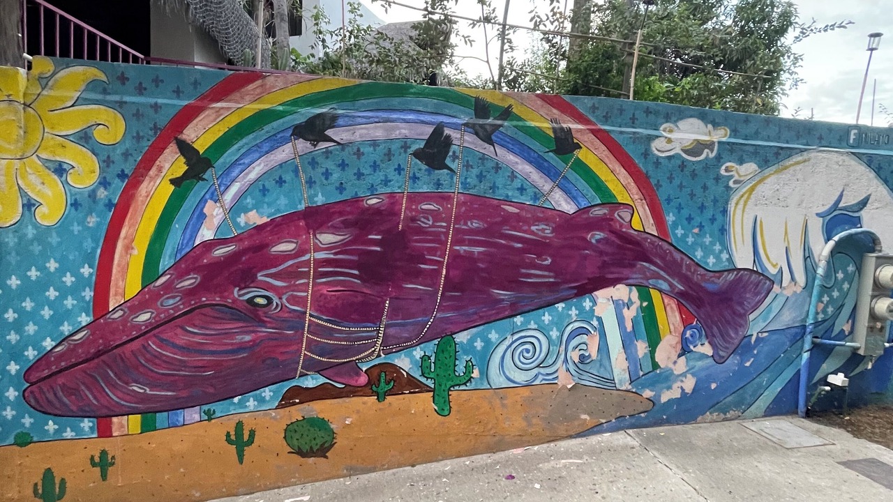Photo of Outdoor in Downtown San Jose del Cabo