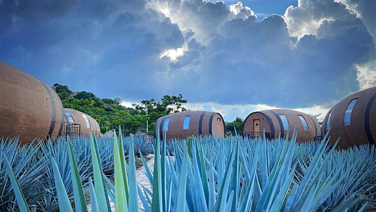 Photo of Outdoor in Tequila