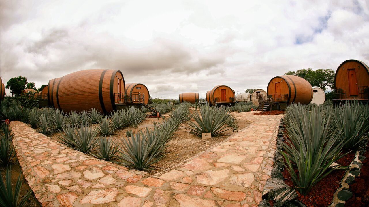 Photo of Outdoor in Tequila