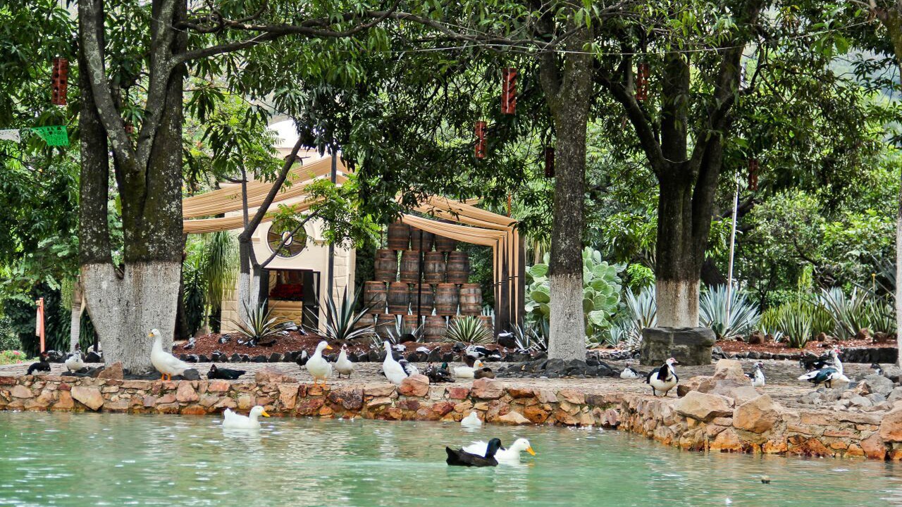 Photo of Outdoor in Tequila