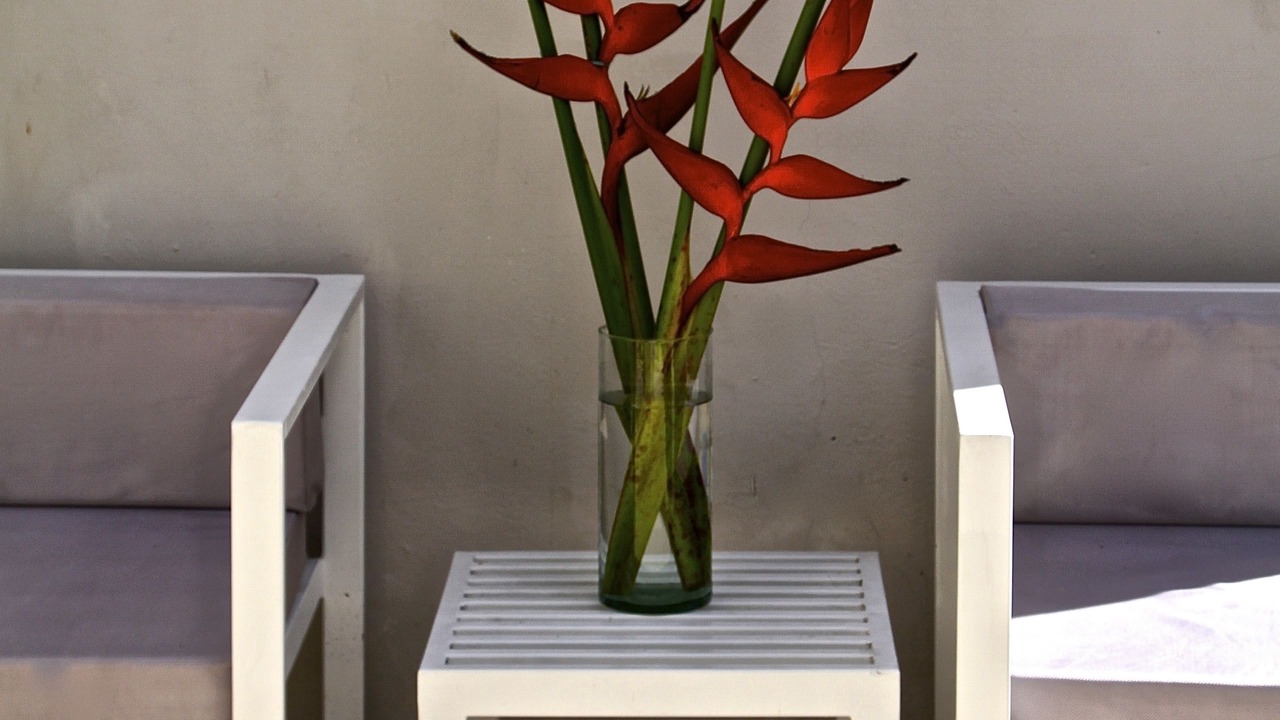 Photo of Outdoor in Barrio de Santiago