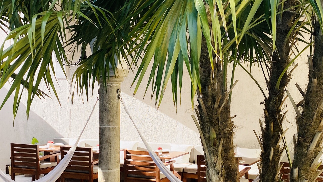 Photo of Patio Balcony in Barrio de Santiago