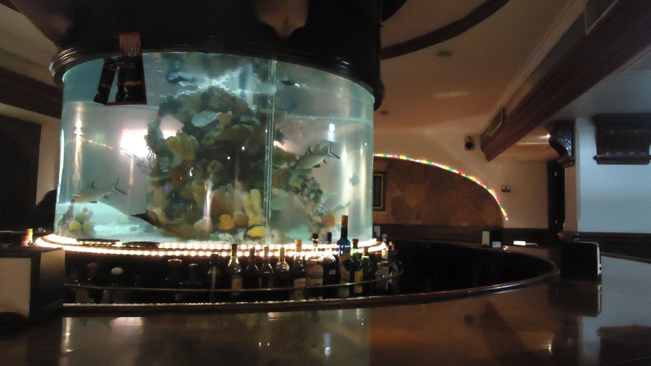 Photo of Others in Xalapa