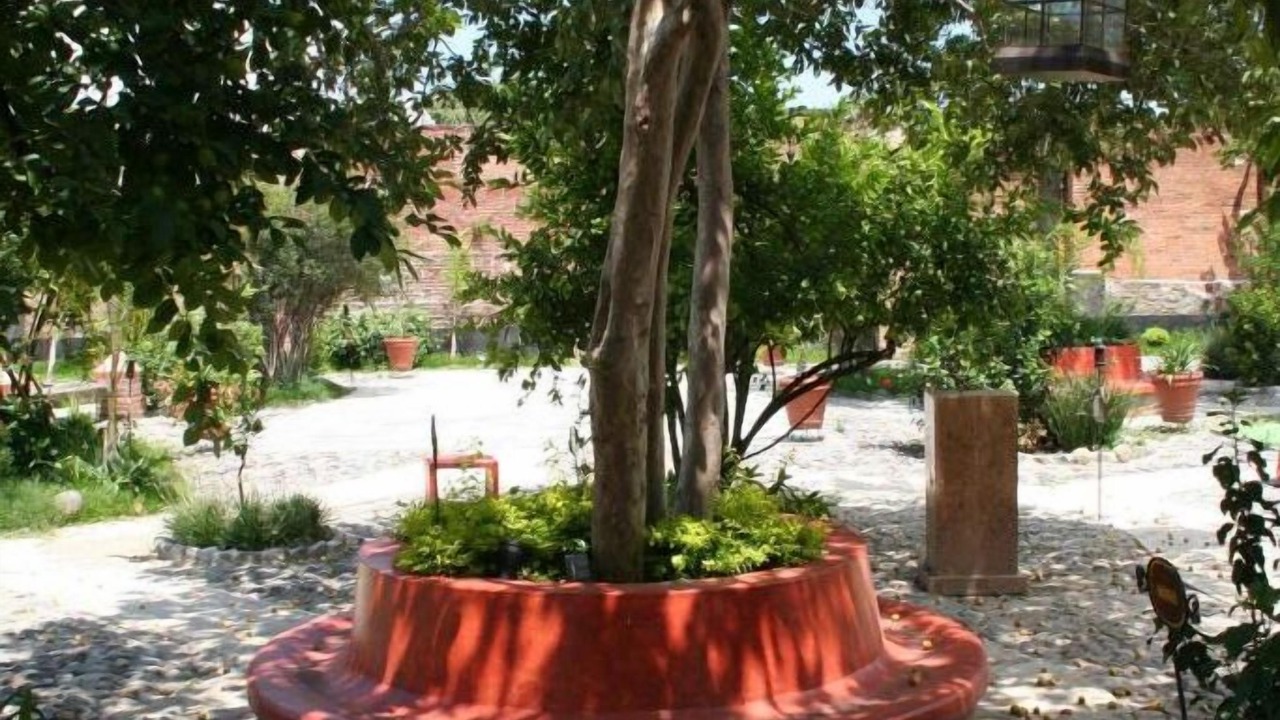 Photo of Outdoor in Sayula