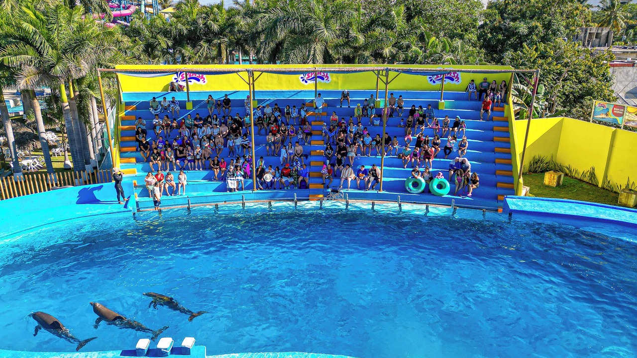 Photo of Outdoor in Las Jarretaderas