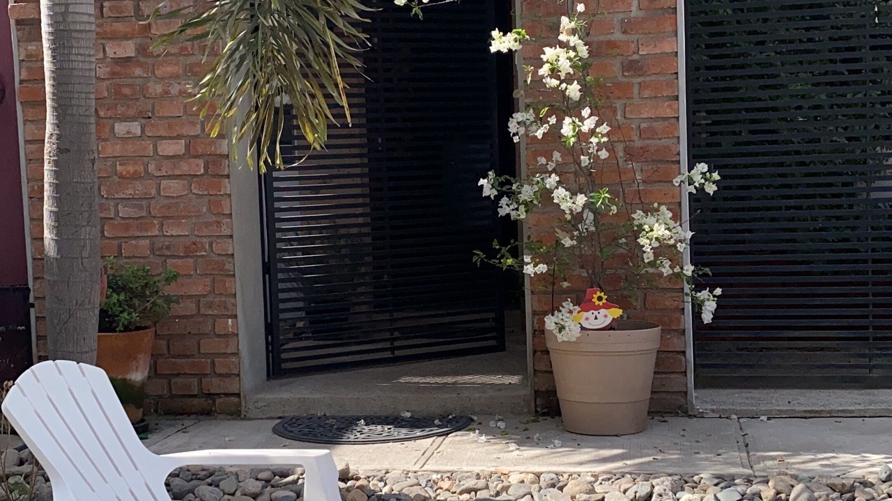 Photo of Outdoor in Puerto Vallarta
