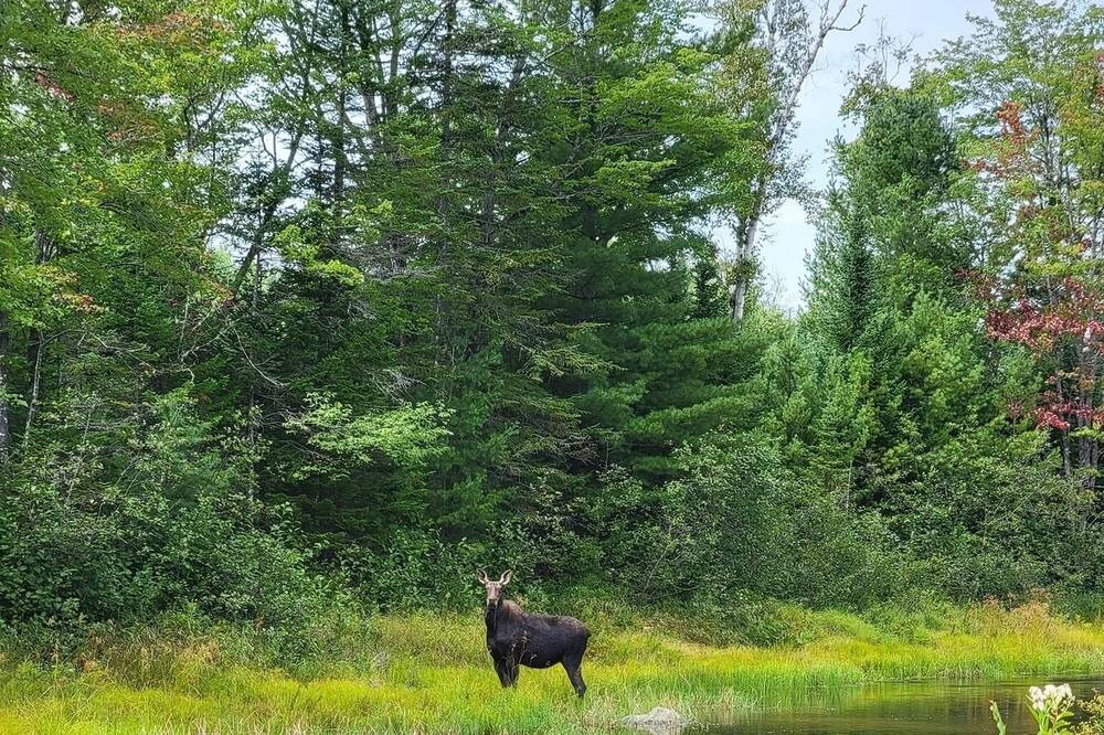 Photo of Outdoor in Brownville