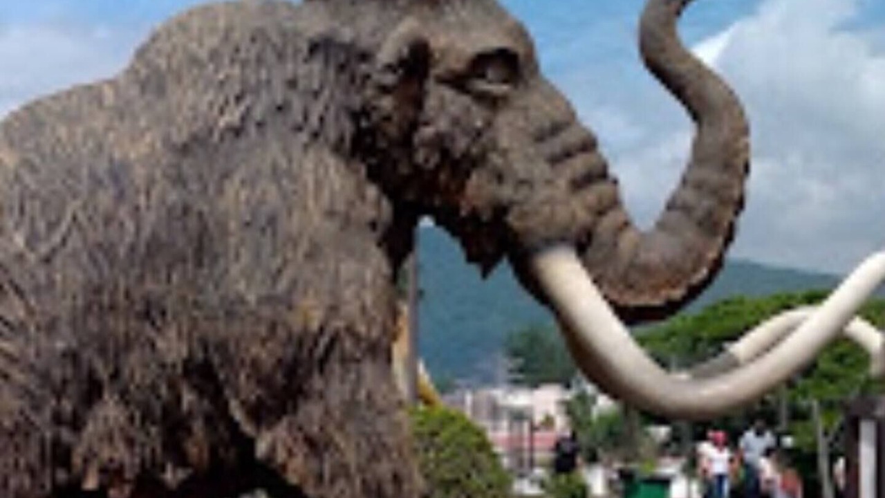 Photo of Outdoor in Huiloapan de Cuauhtemoc