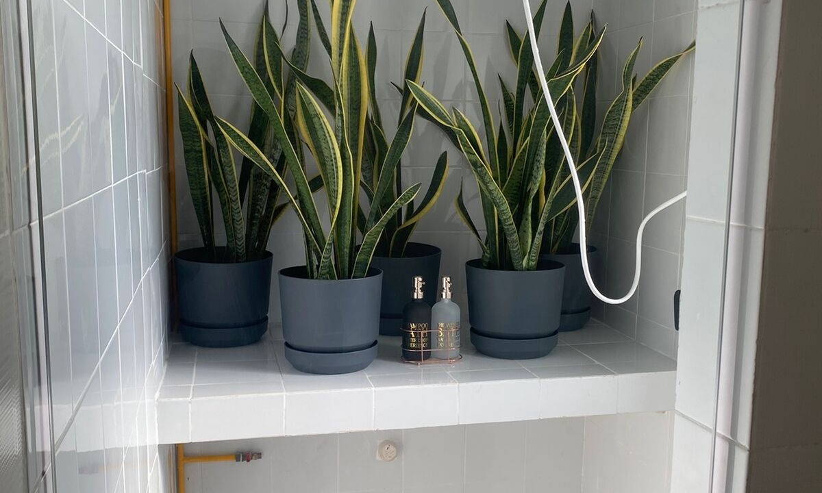 Photo of Bathroom in Granjas del Marques