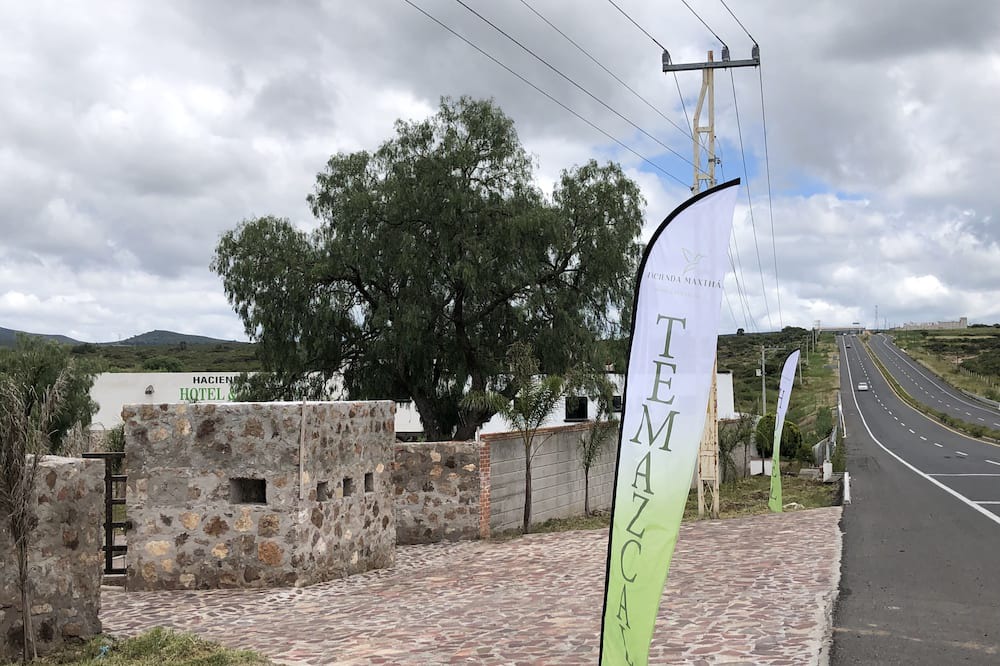 Photo of Outdoor in Hidalgo