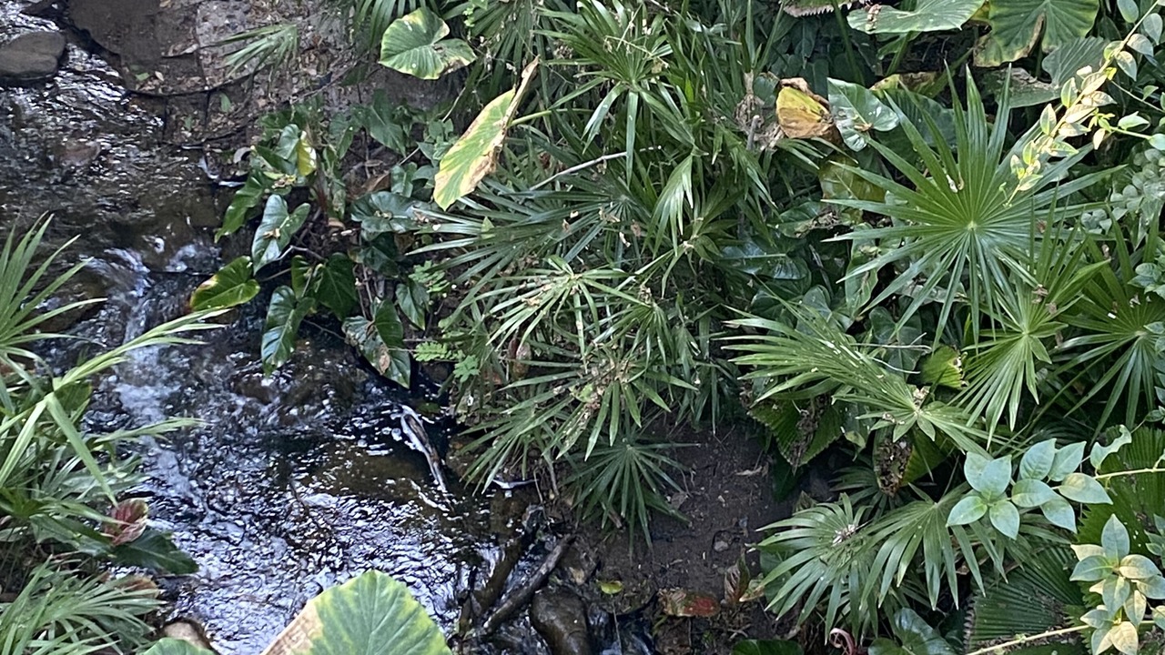 Photo of Outdoor in Bajio
