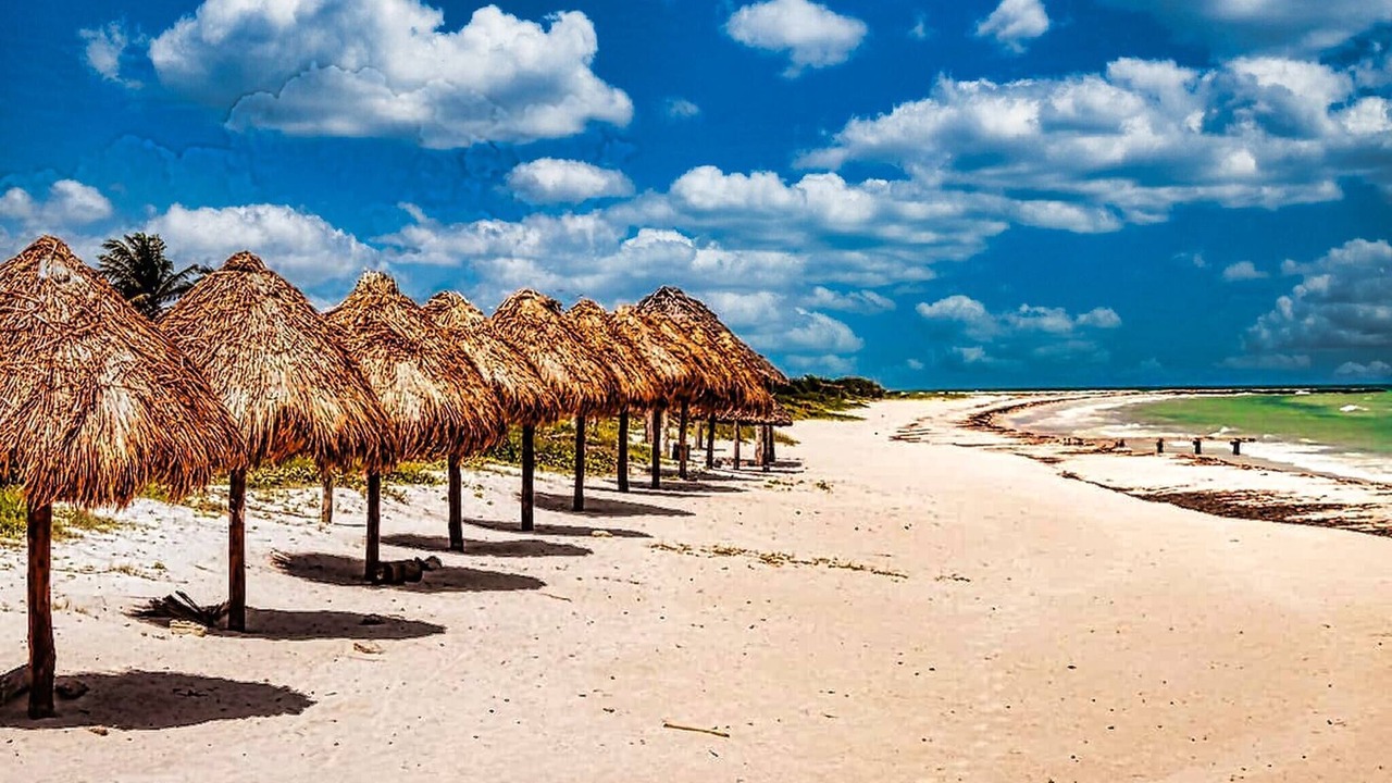 Photo of Others in El Cuyo
