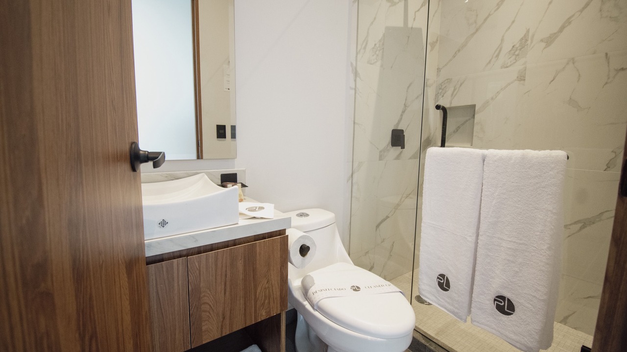Photo of Bathroom in Coyoacan