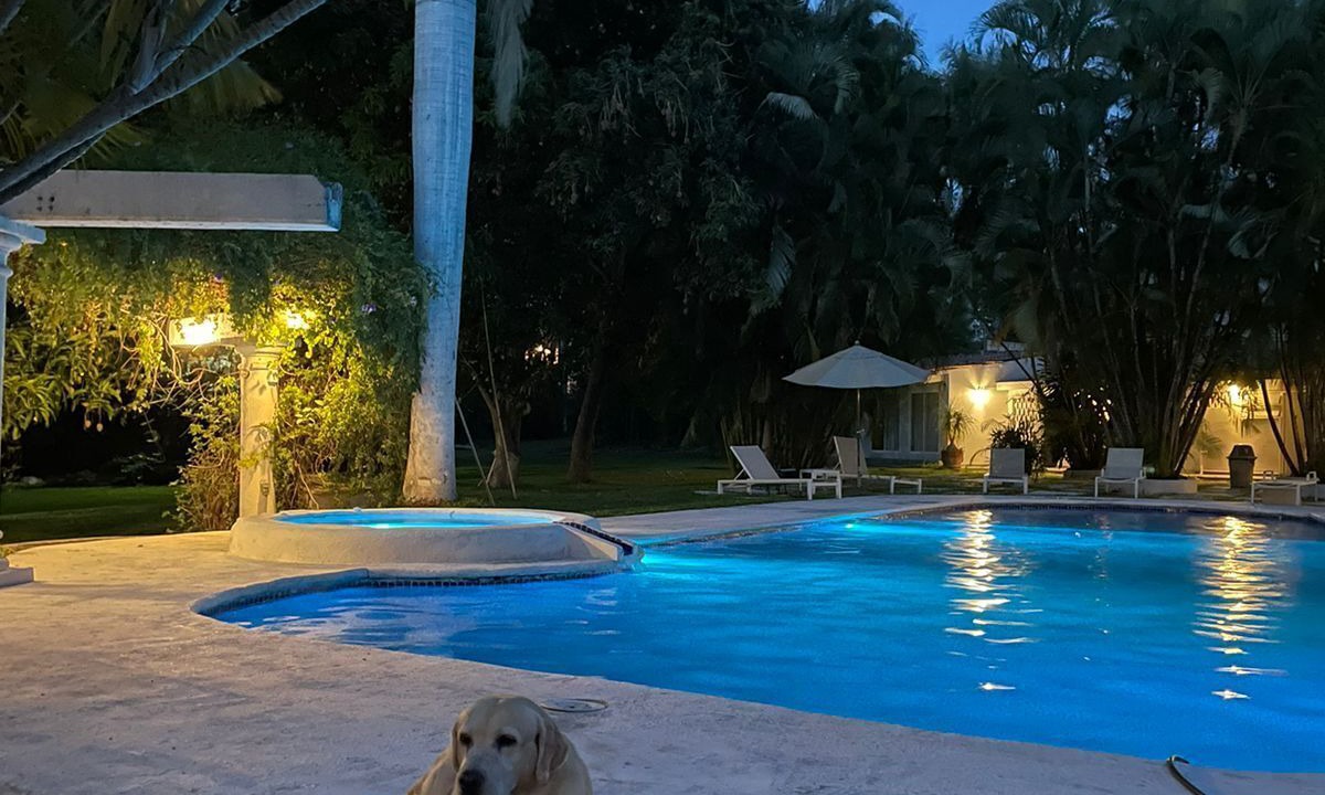 Photo of Outdoor in Gabriel Tepepa