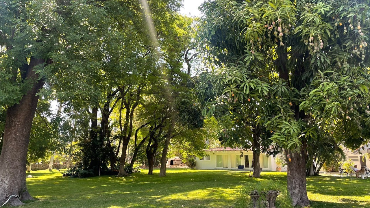 Photo of Outdoor in Gabriel Tepepa