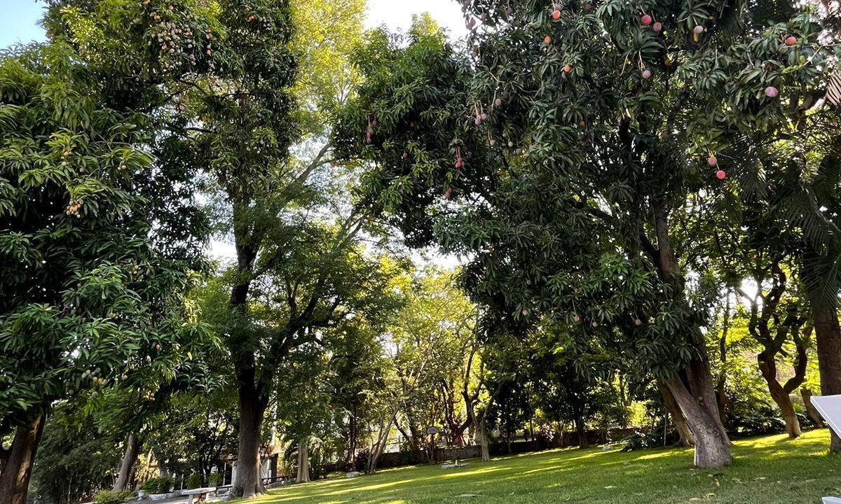 Photo of Outdoor in Gabriel Tepepa