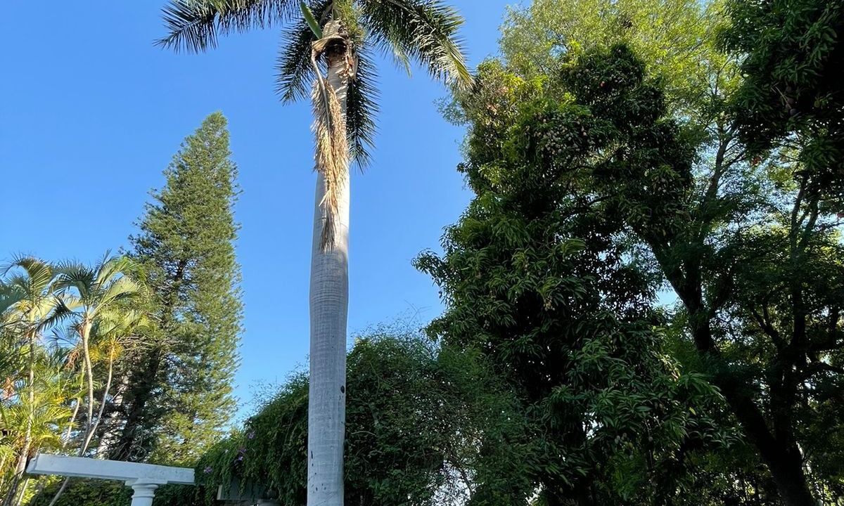 Photo of Outdoor in Gabriel Tepepa