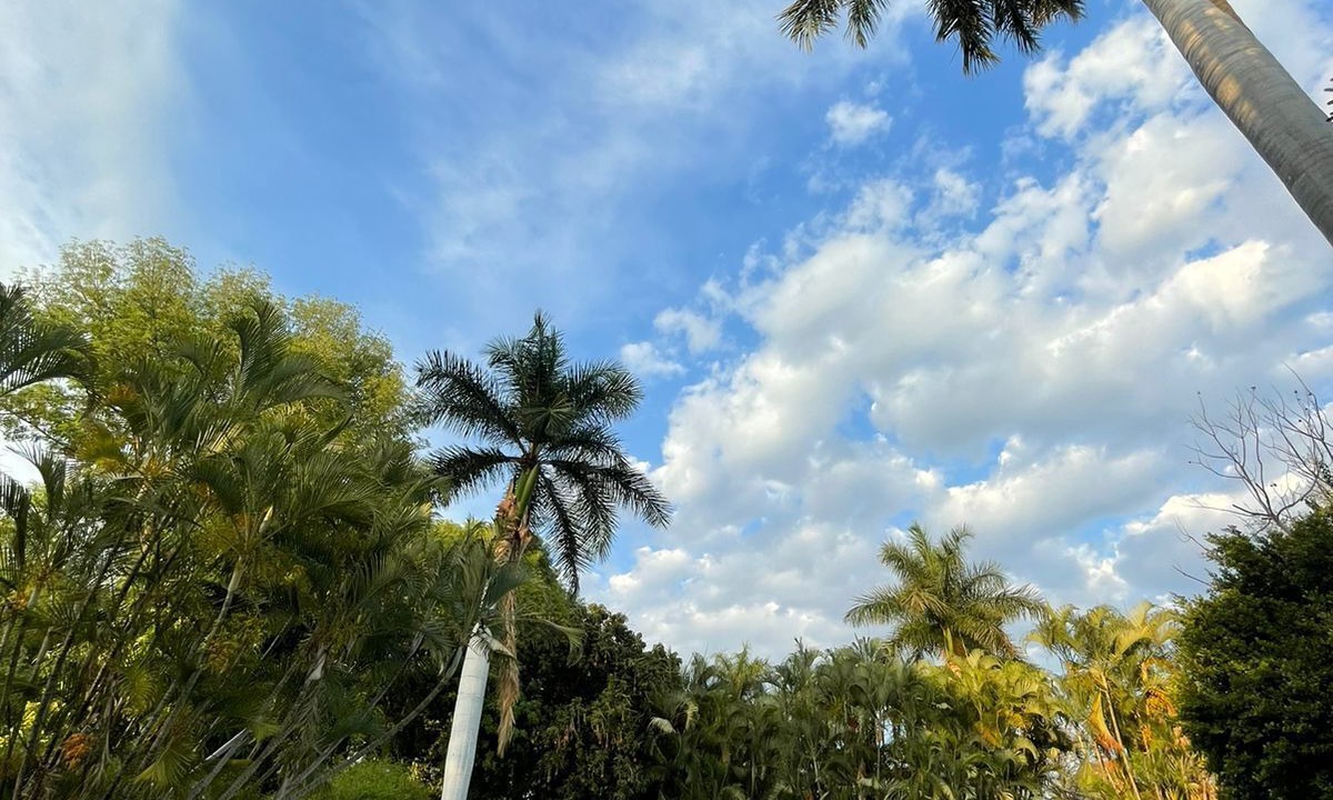 Photo of Outdoor in Gabriel Tepepa