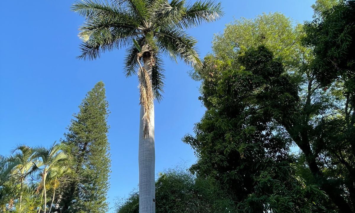 Photo of Outdoor in Gabriel Tepepa