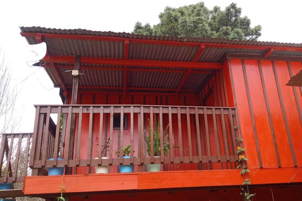 Photo of Outdoor in San Jose del Pacifico