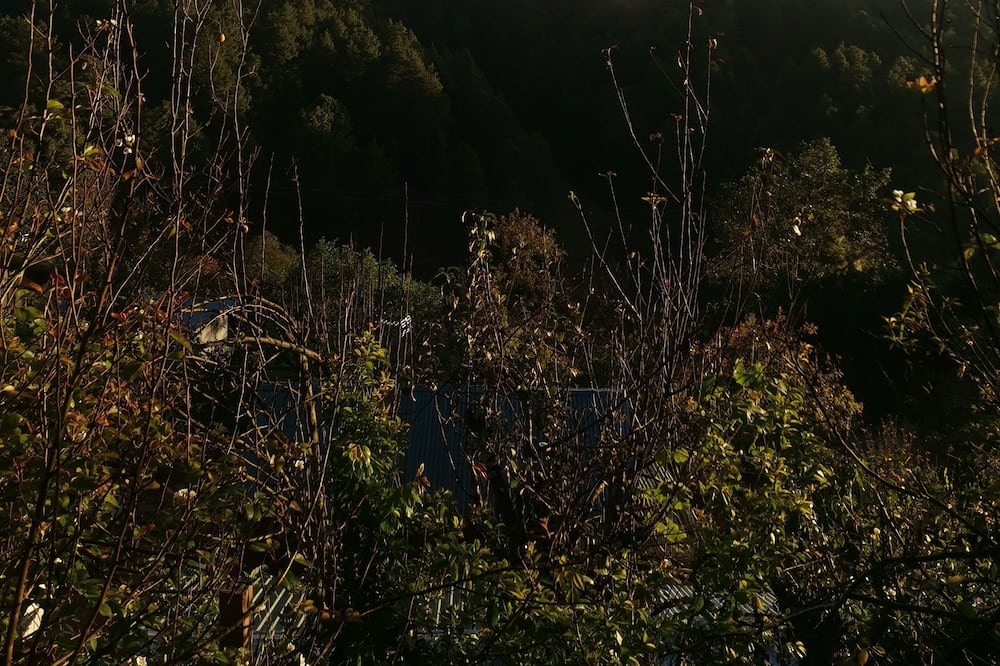 Photo of Outdoor in San Jose del Pacifico