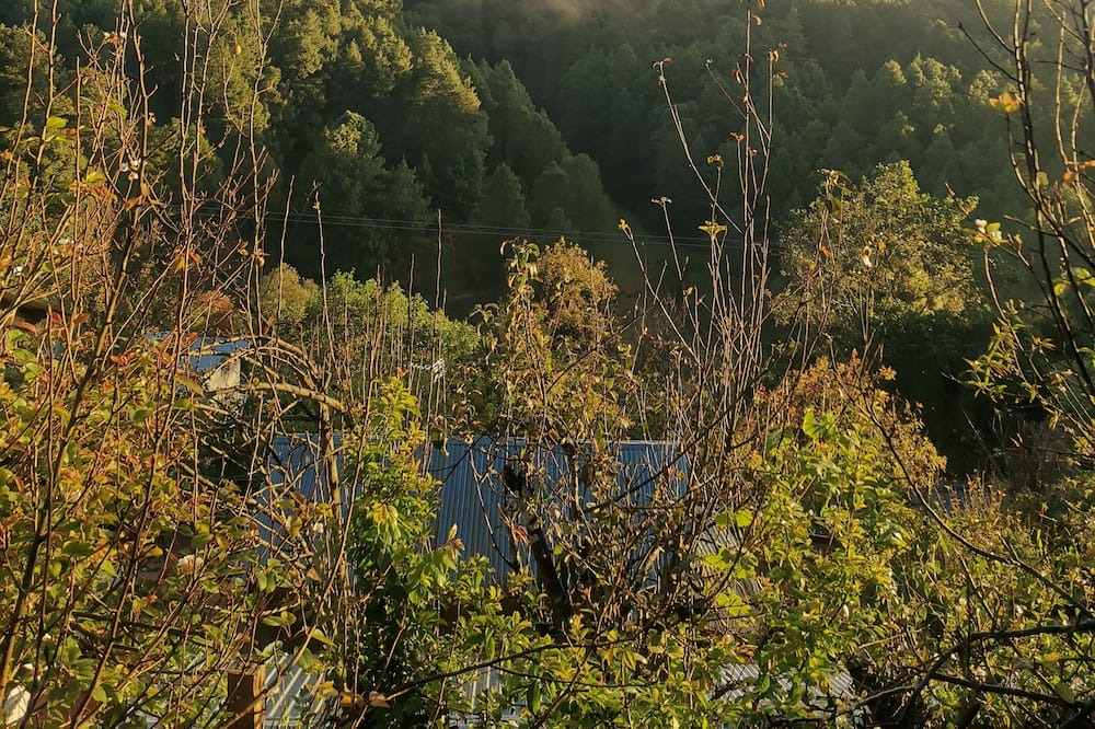 Photo of Outdoor in San Jose del Pacifico