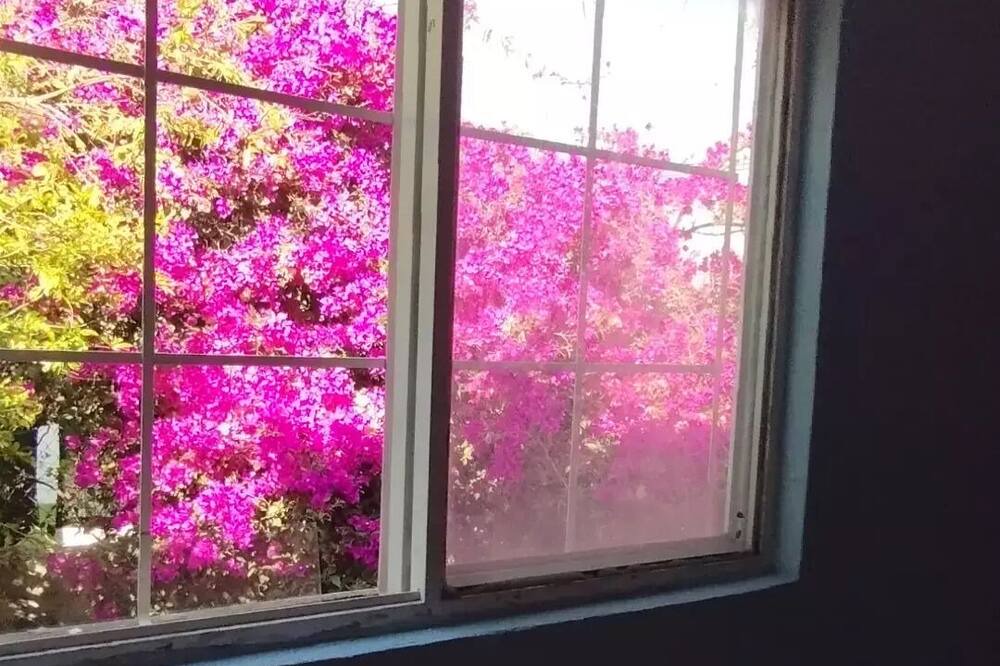 Photo of Bedroom in Zapopan