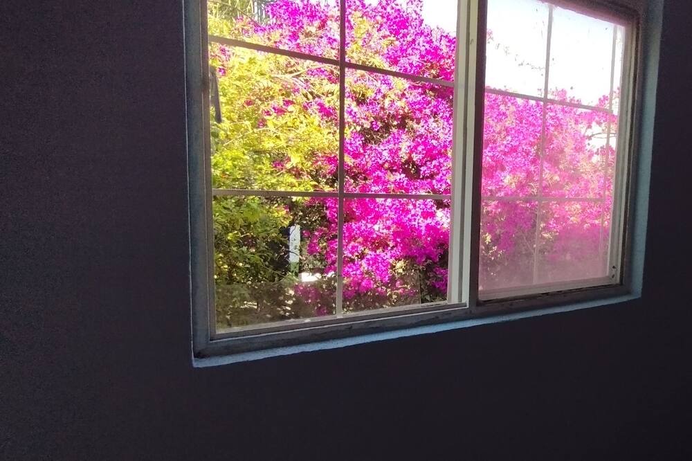 Photo of Bedroom in Zapopan