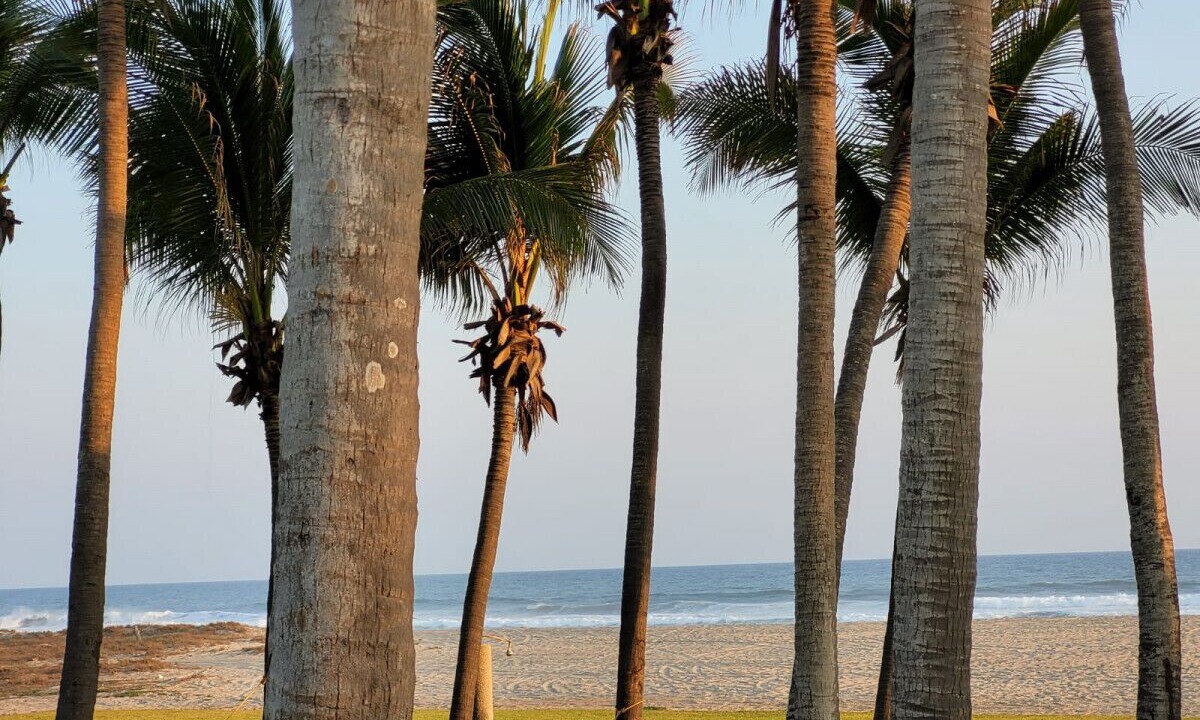 Photo of Outdoor in Acapulco
