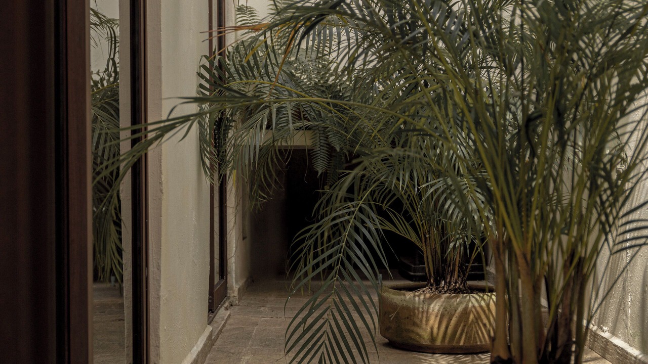 Photo of Outdoor in Zona Centro