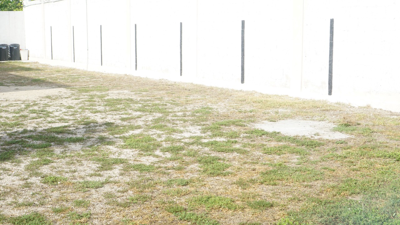 Photo of Outdoor in Chicxulub Puerto